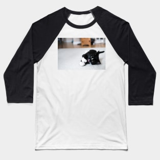 polydactyl cat Baseball T-Shirt